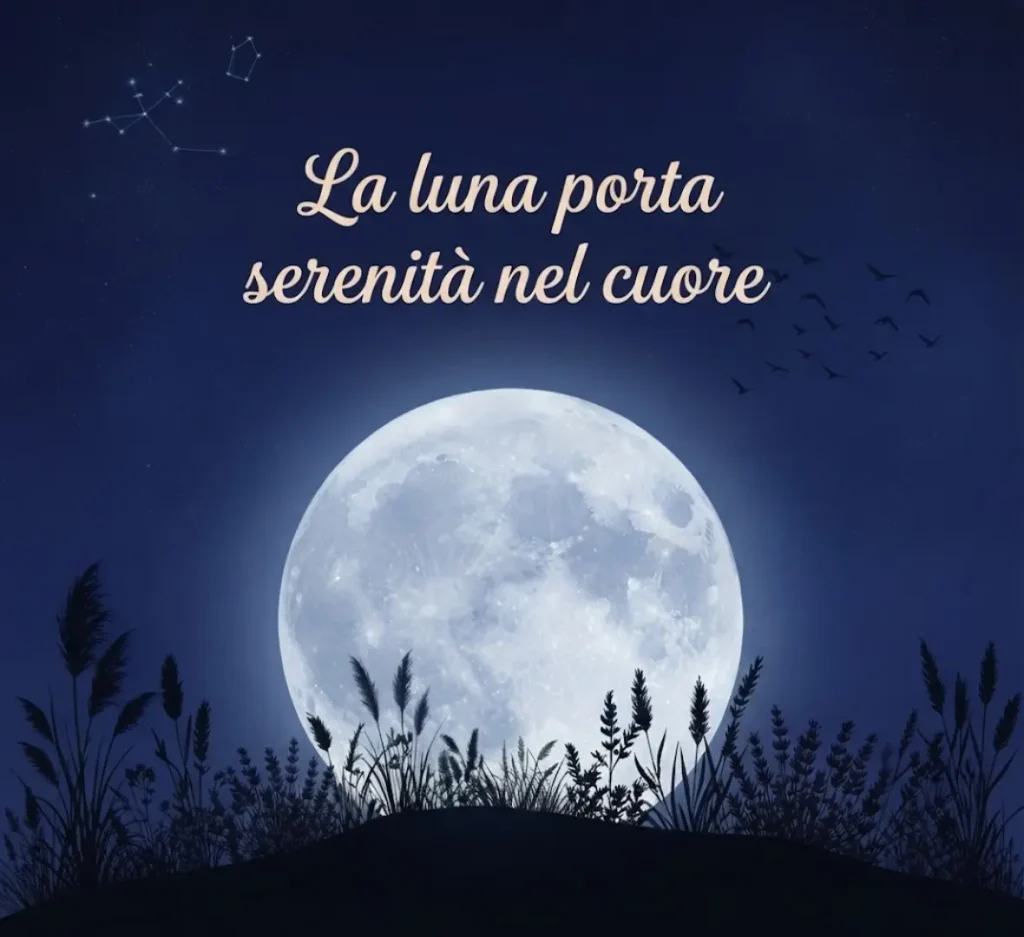 Dolce notte lunare