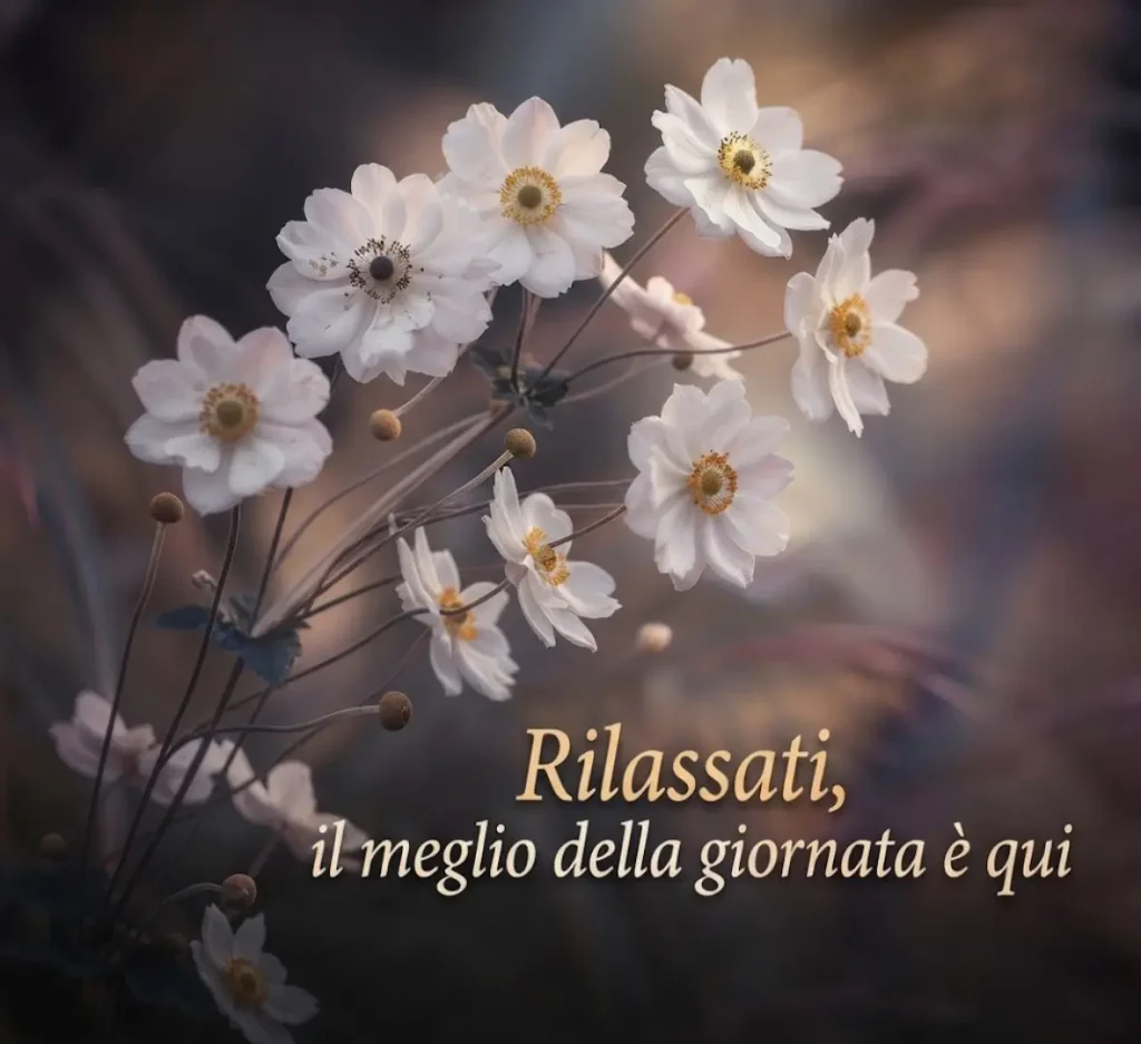 Buona serata con messaggio dolce