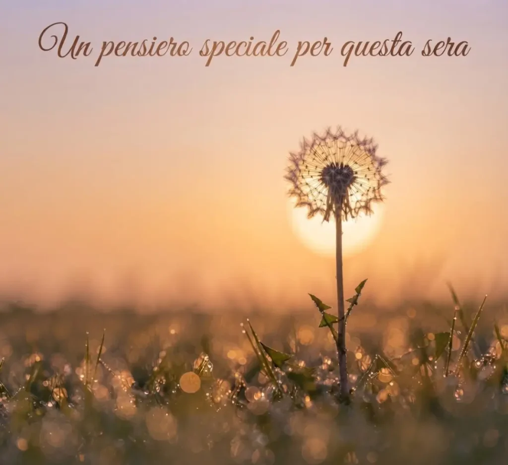Immagini di buona serata gratis da condividere