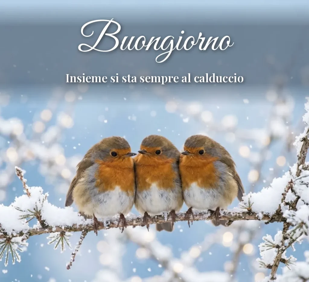 Uccellini vicini su un ramo innevato