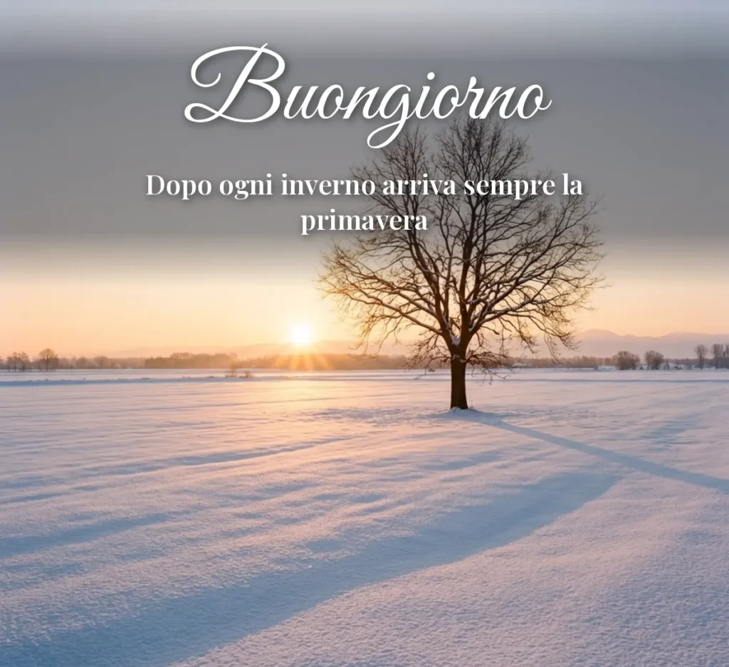 Albero solitario in un campo innevato all'alba