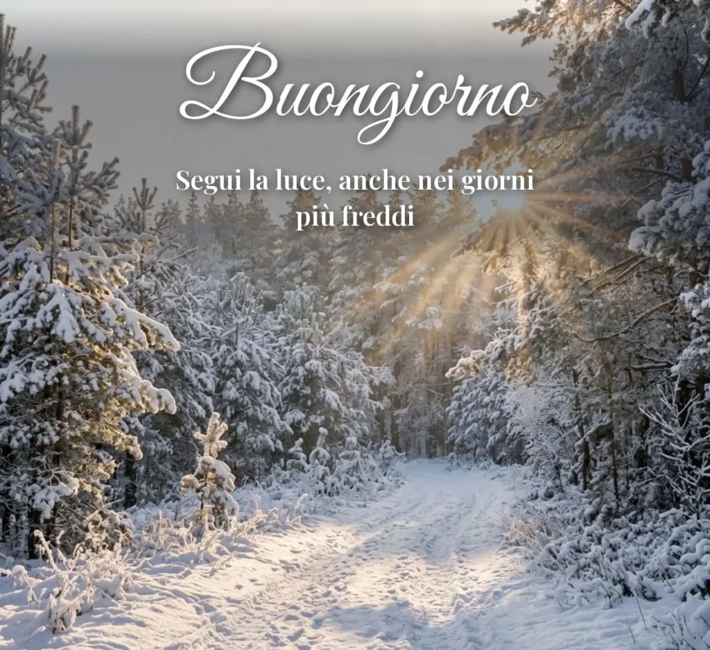Sentiero nel bosco innevato con raggi di sole