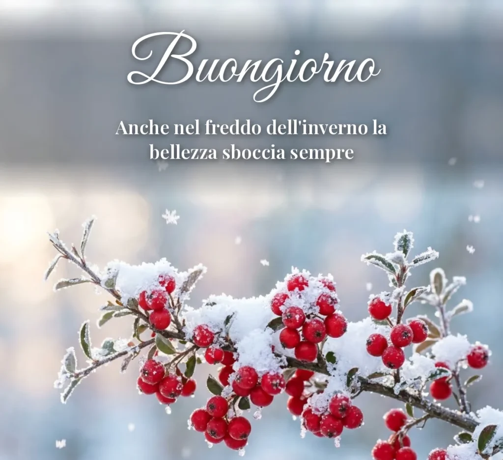 Buongiorno con bacche rosse sotto la neve