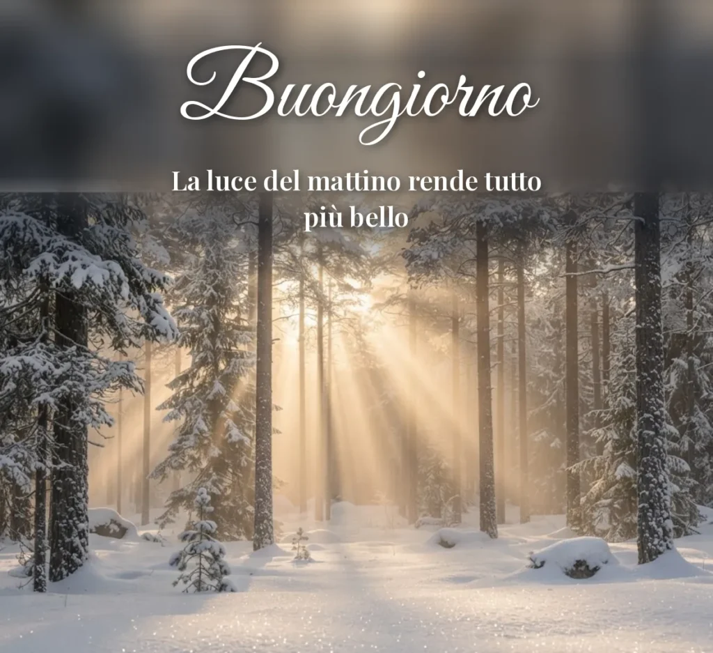 Bosco innevato con raggi di sole