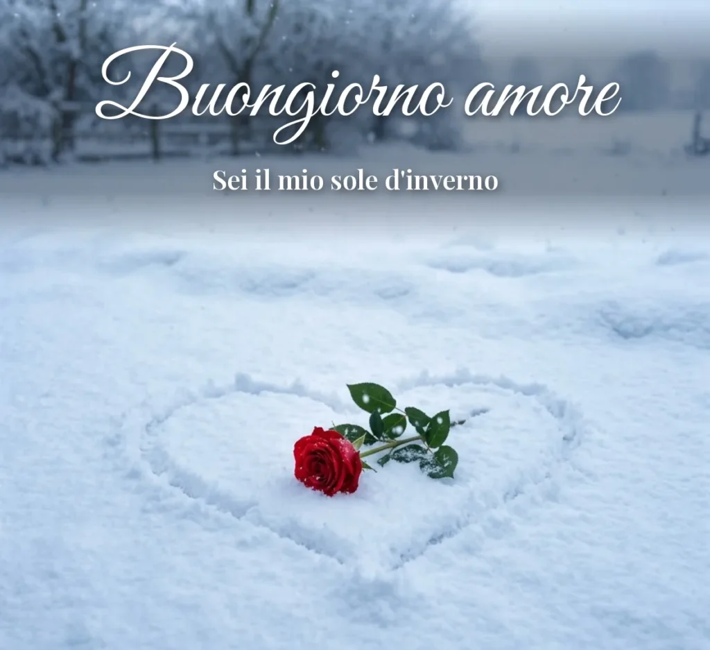 Cuore disegnato nella neve con rosa rossa