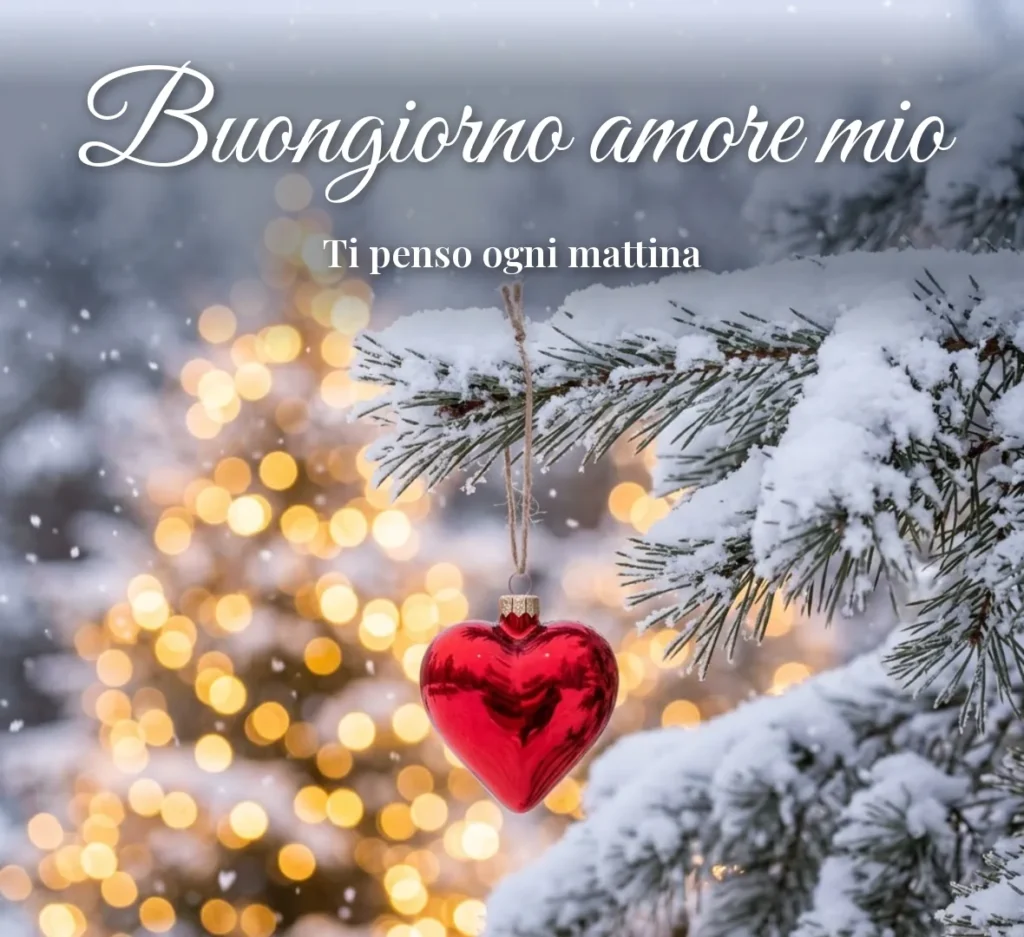 Cuore rosso appeso a un ramo innevato