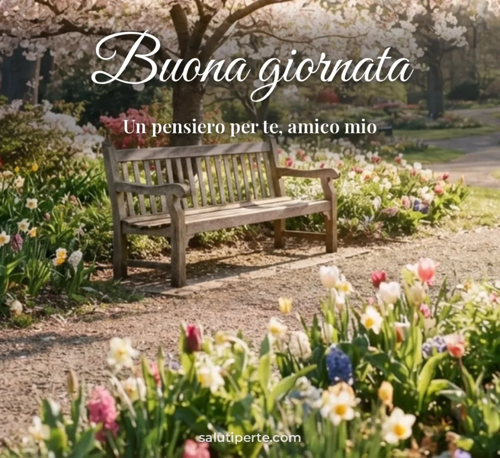 Panchina tra i fiori al sole