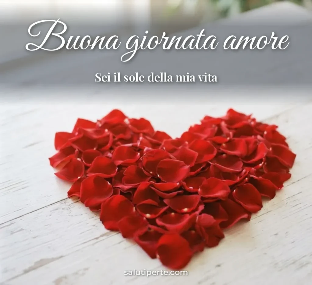 Cuore di petali di rosa