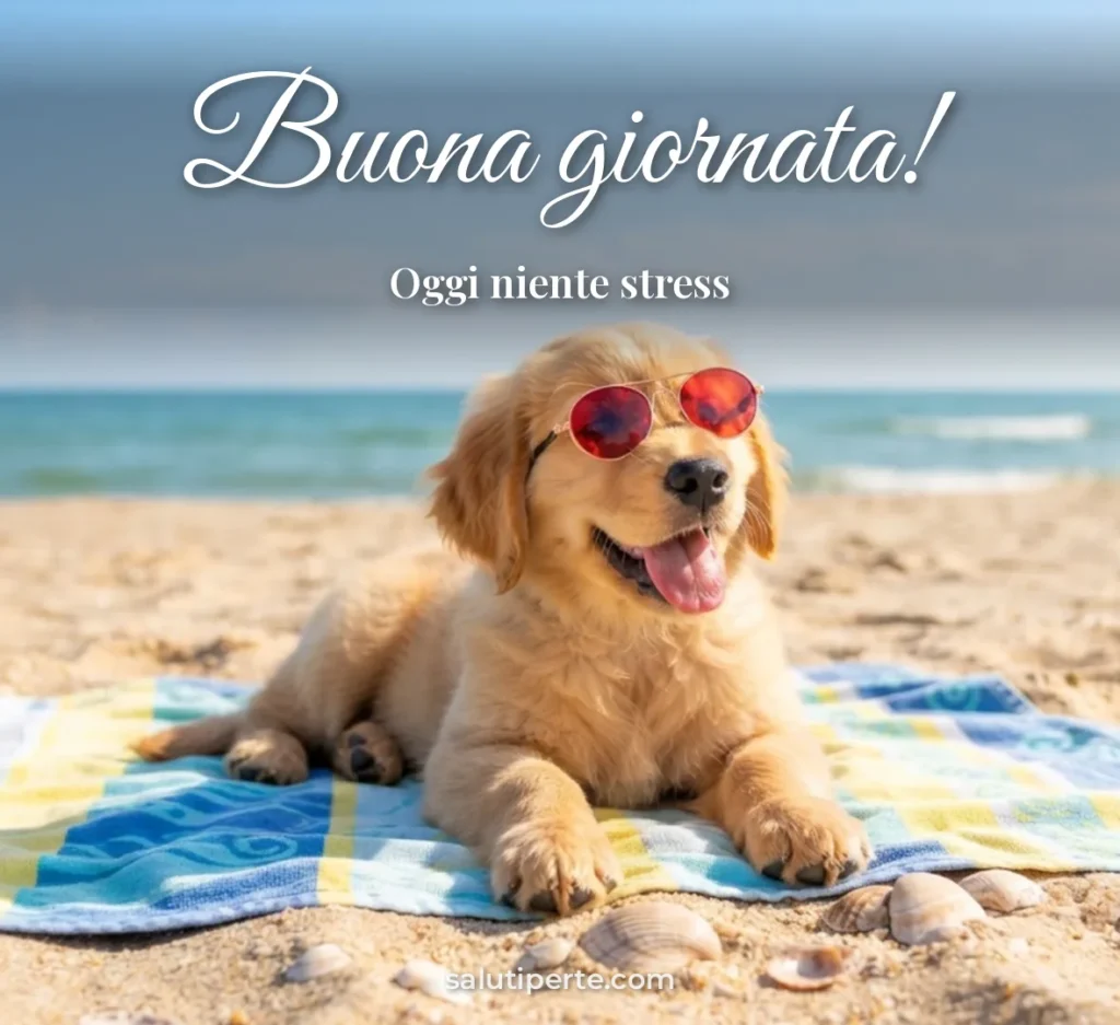 Cagnolino con occhiali da sole