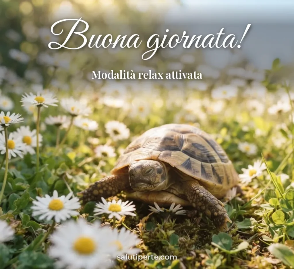 Tartaruga che si rilassa tra le margherite
