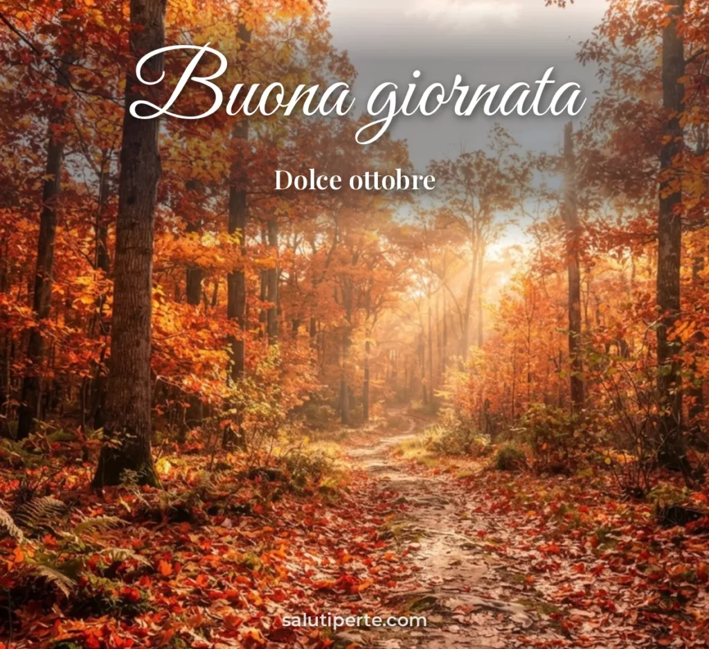 Bosco autunnale con sentiero