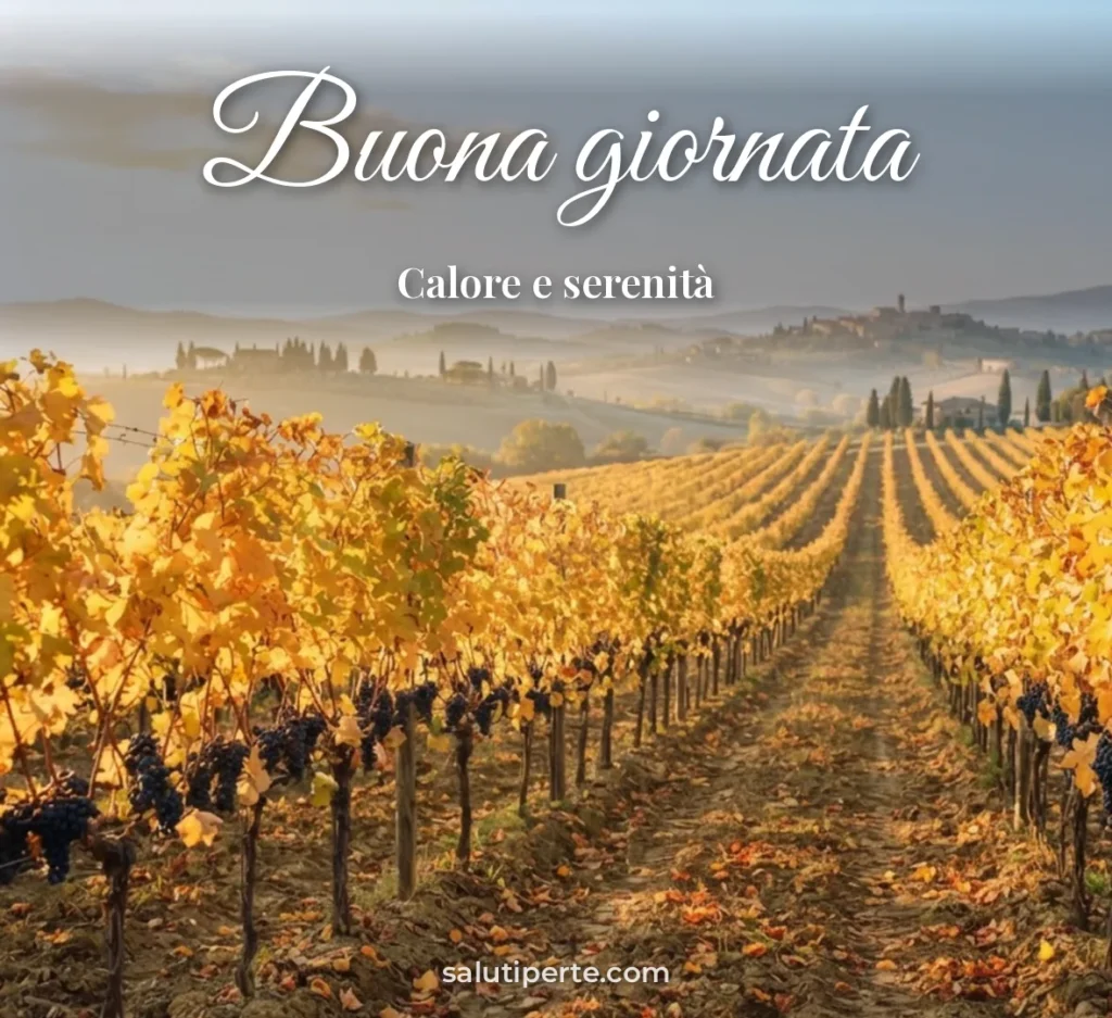 Vigneto in autunno