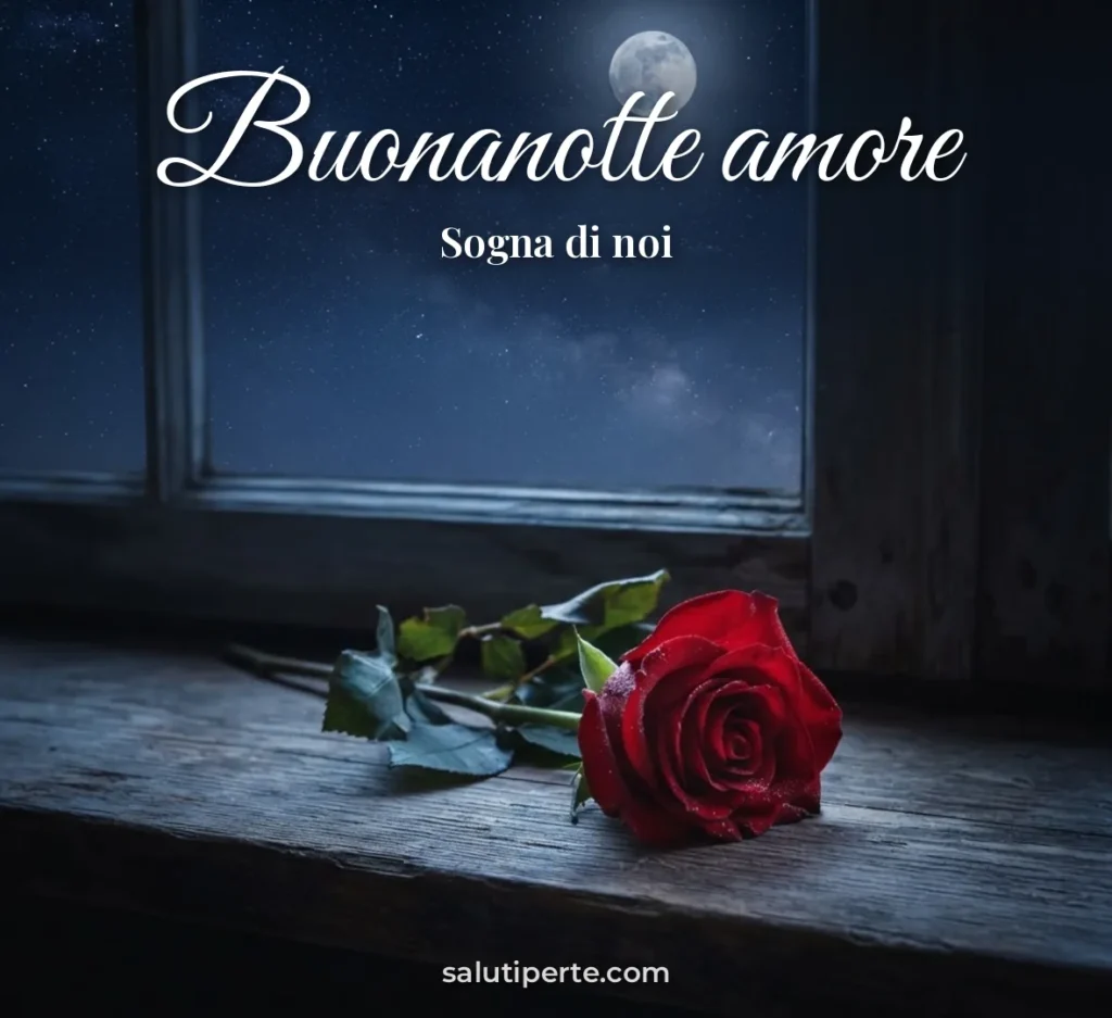 Rosa rossa al chiaro di luna