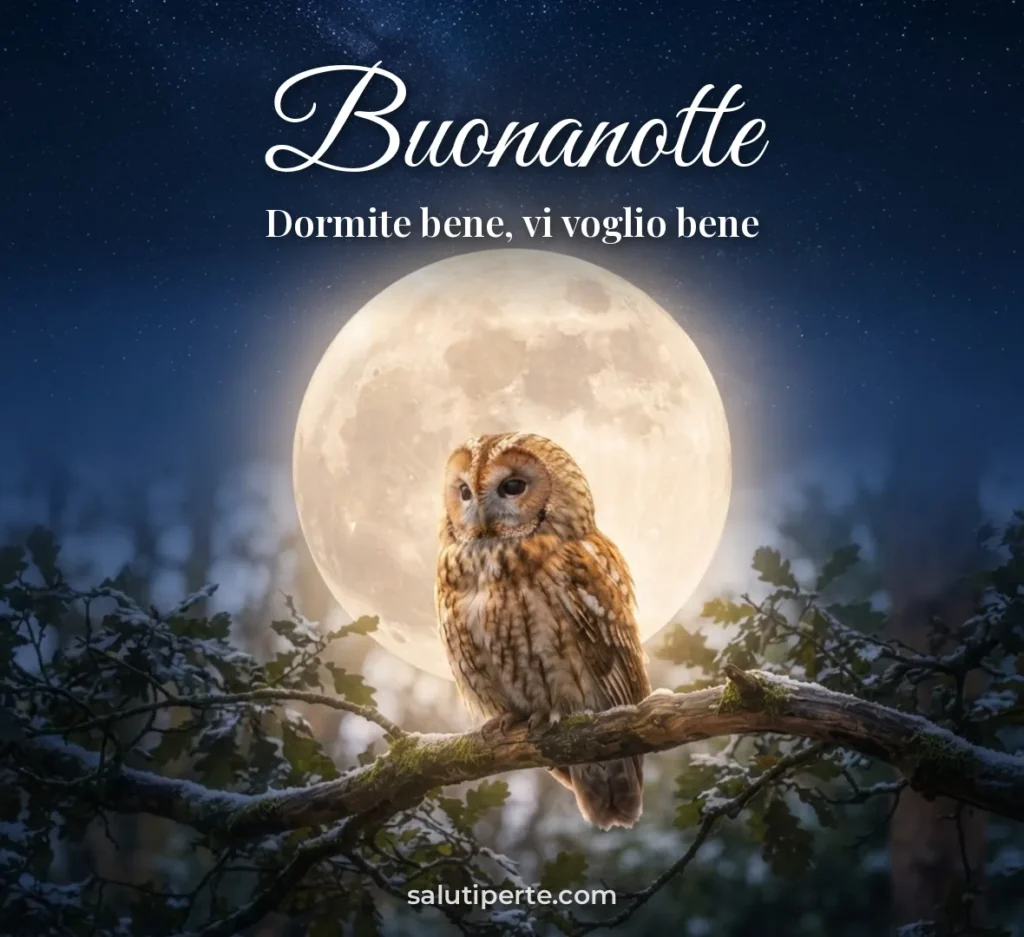Gufo su un ramo sotto la luna