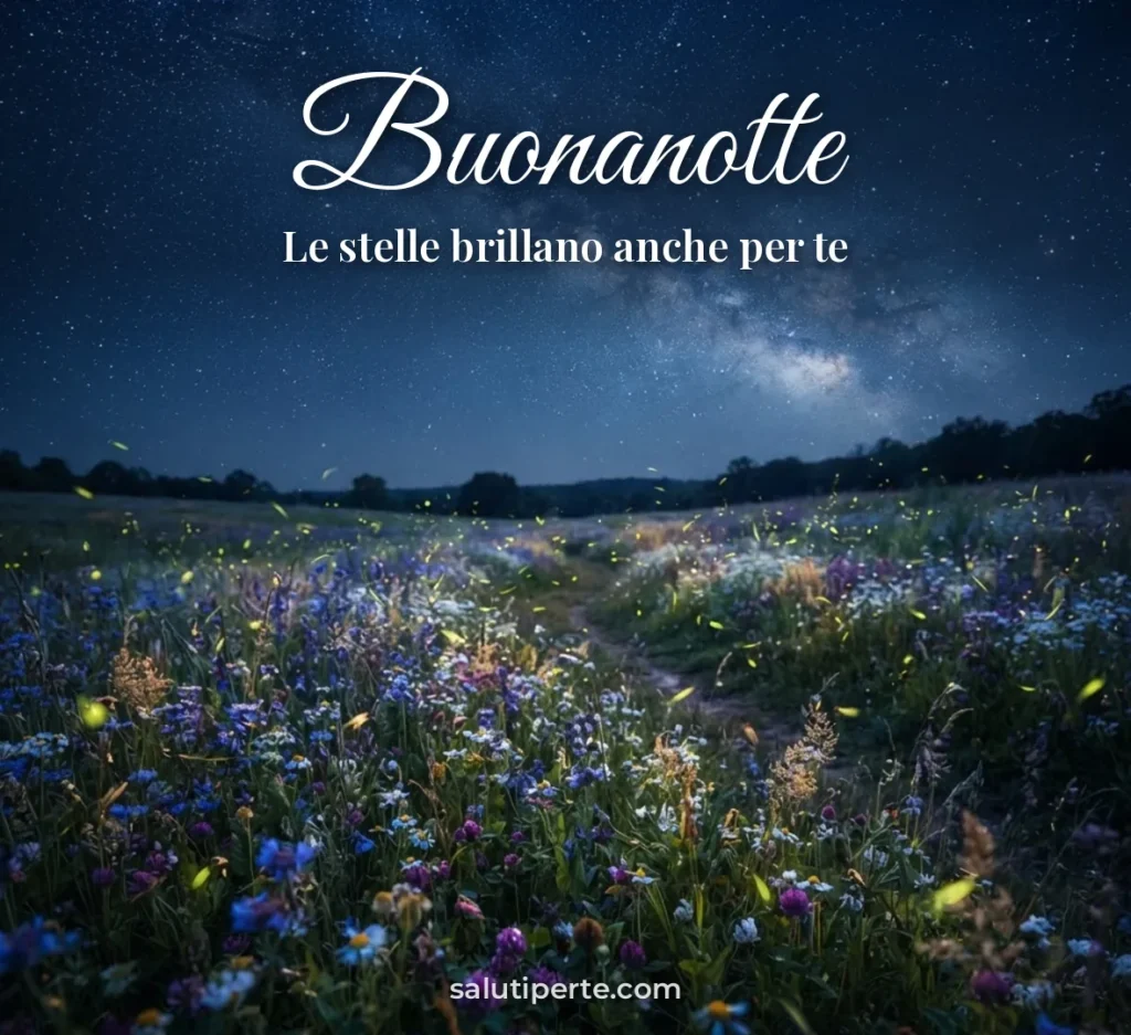Fiori di campo sotto la Via Lattea