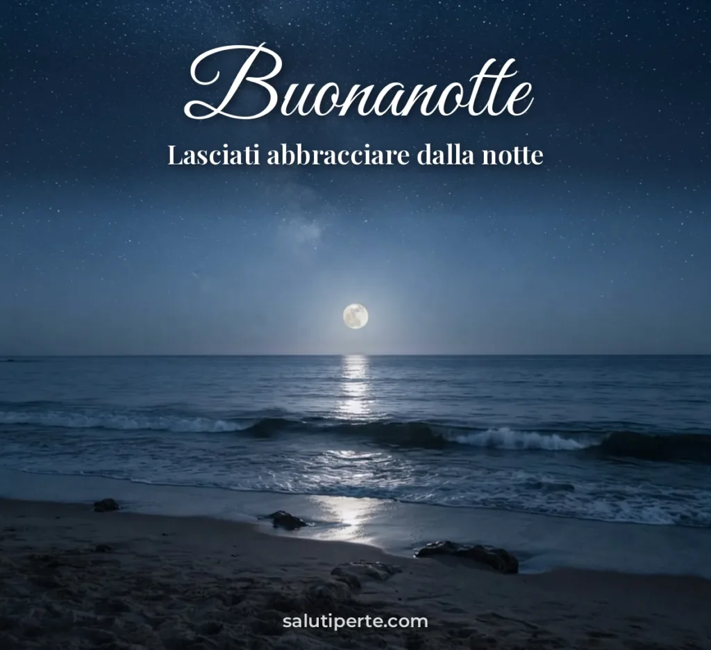 Spiaggia di notte con cielo stellato