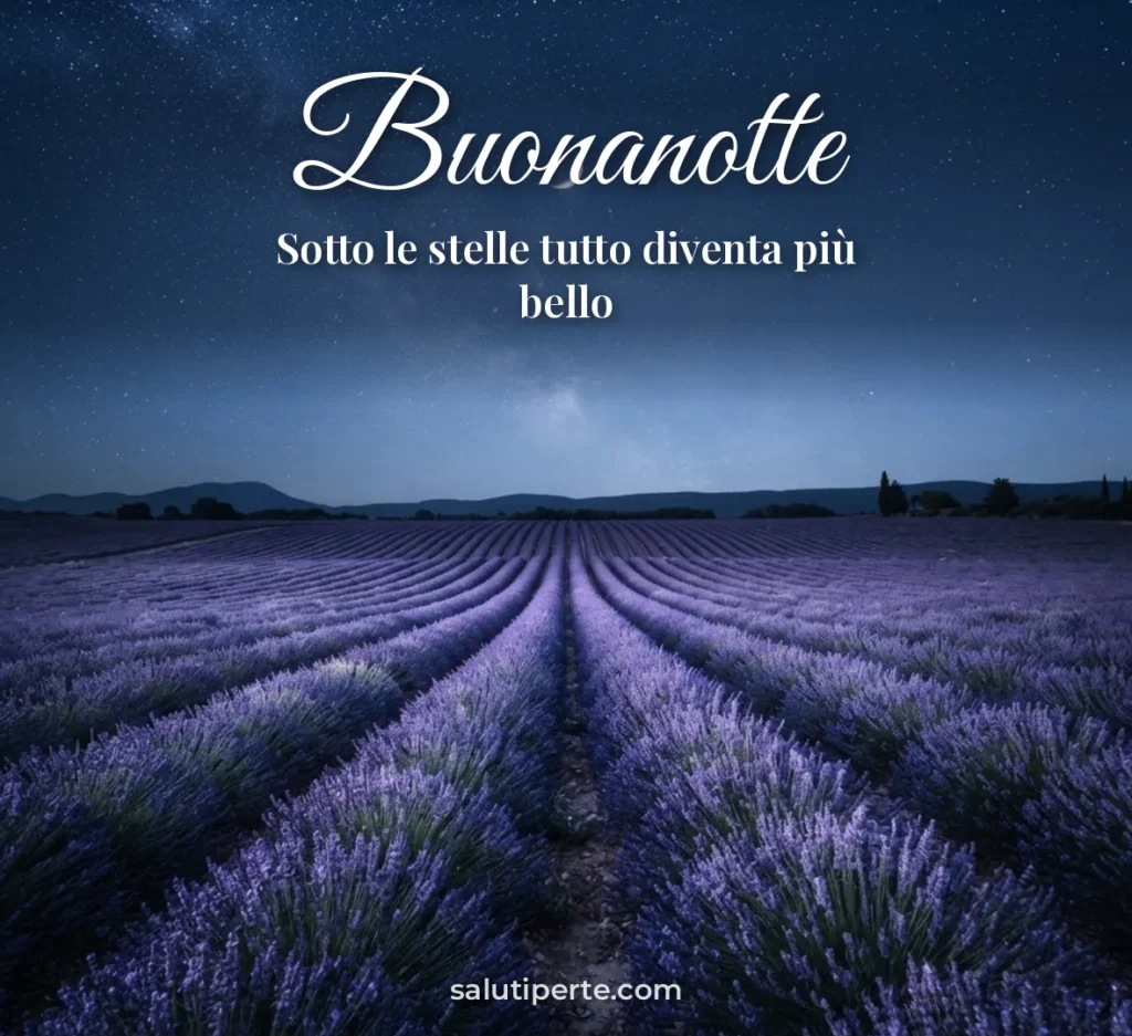 Campo di lavanda sotto il cielo stellato