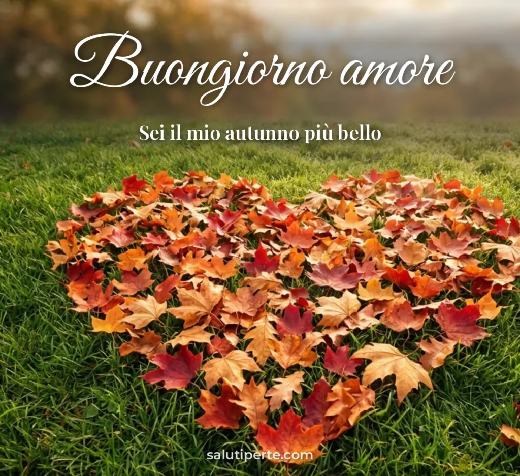Cuore fatto di foglie