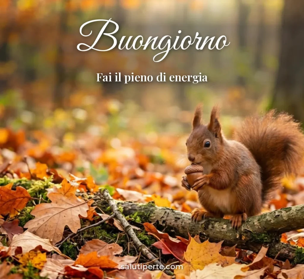 Scoiattolo con una ghianda