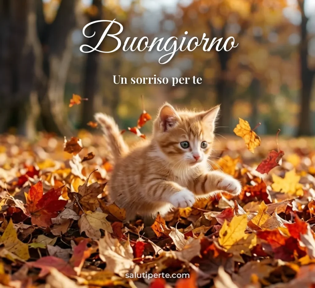 Gattino tra le foglie