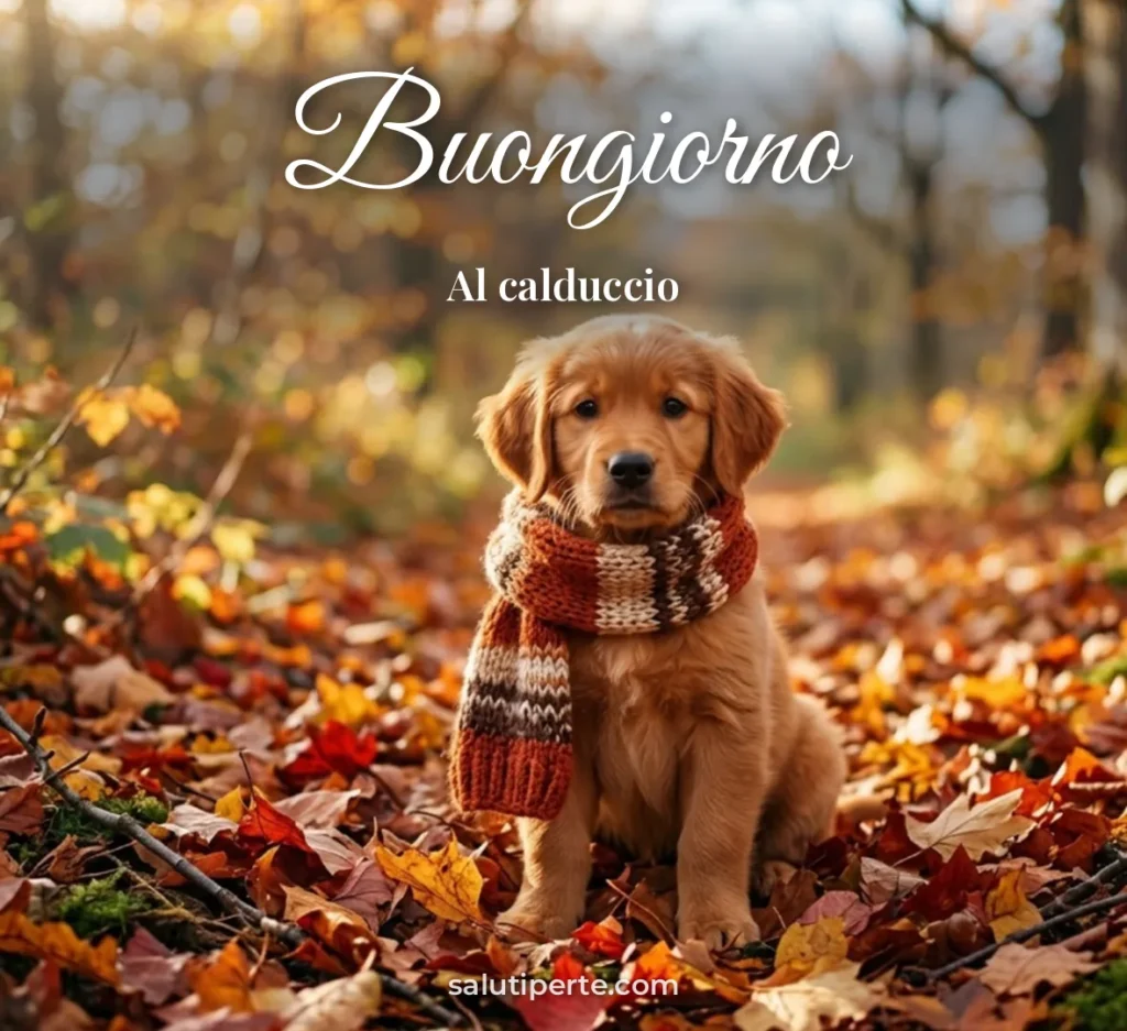 Cagnolino con sciarpa