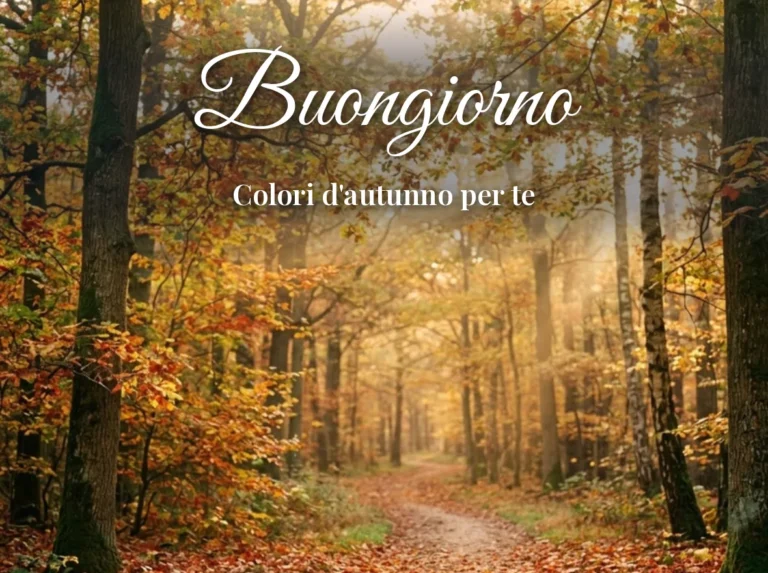 Bosco con foglie rosse e dorate