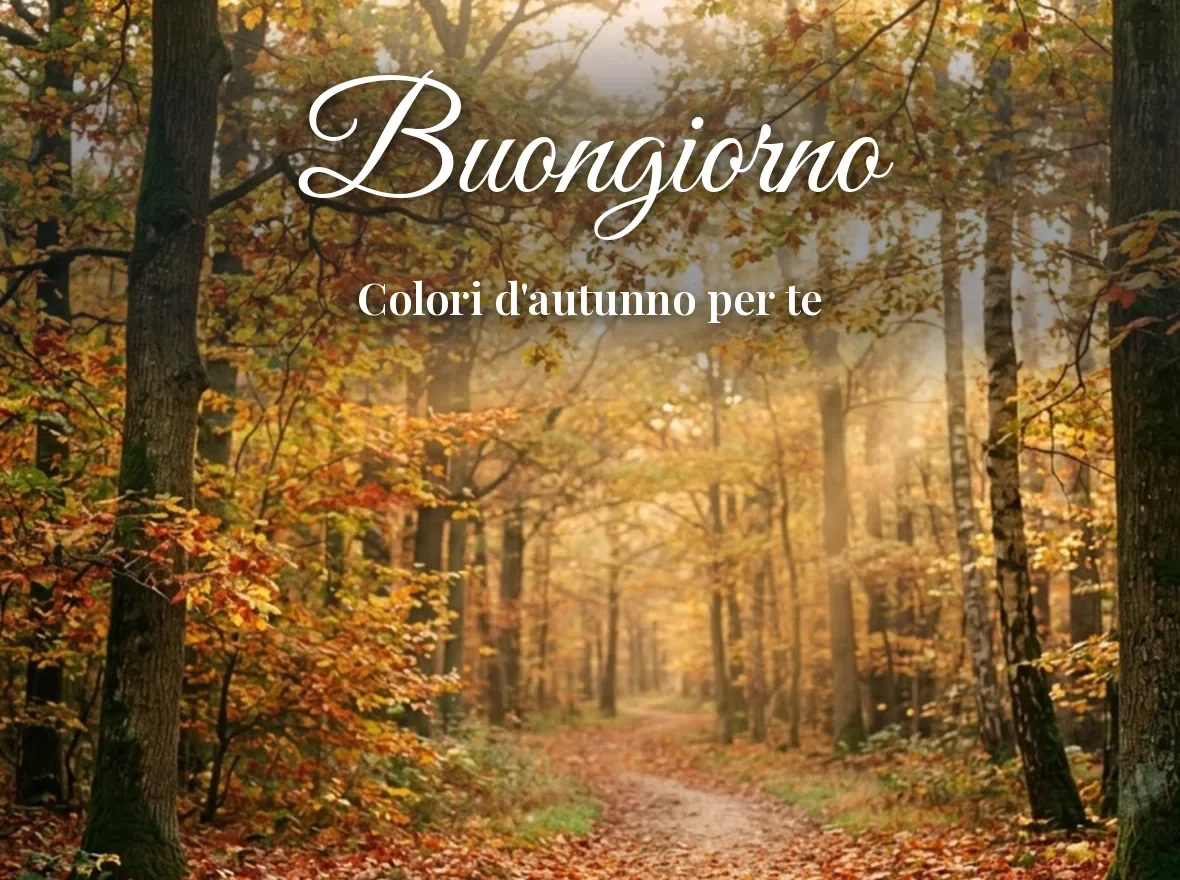 Bosco con foglie rosse e dorate