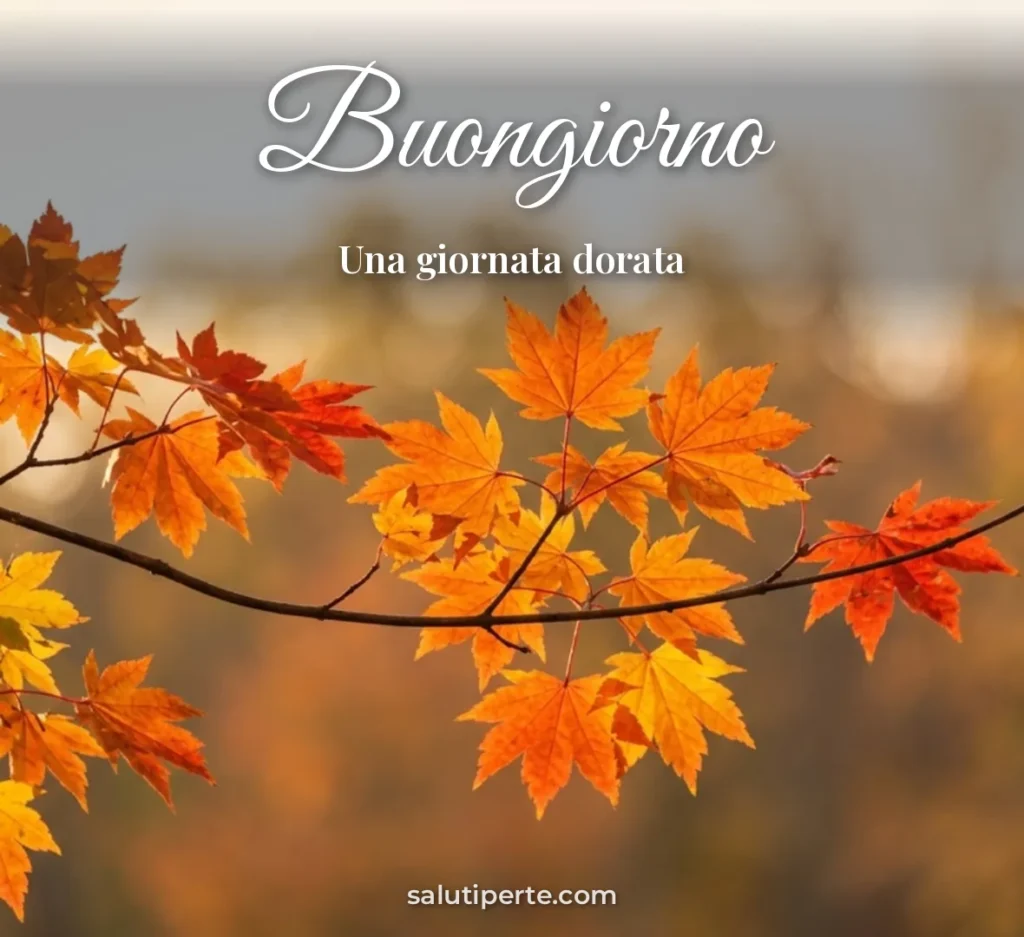 Immagini di buongiorno autunnale