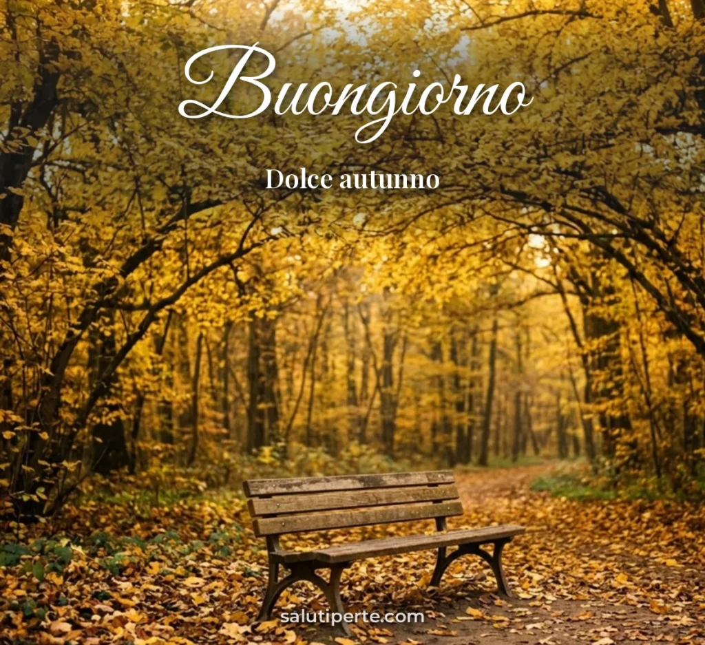 Panchina nel parco tra le foglie