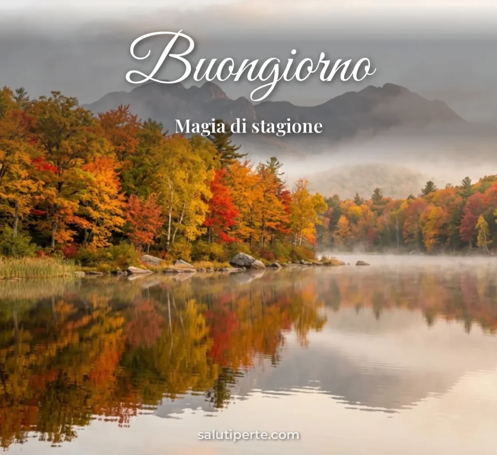 Lago tra alberi autunnali