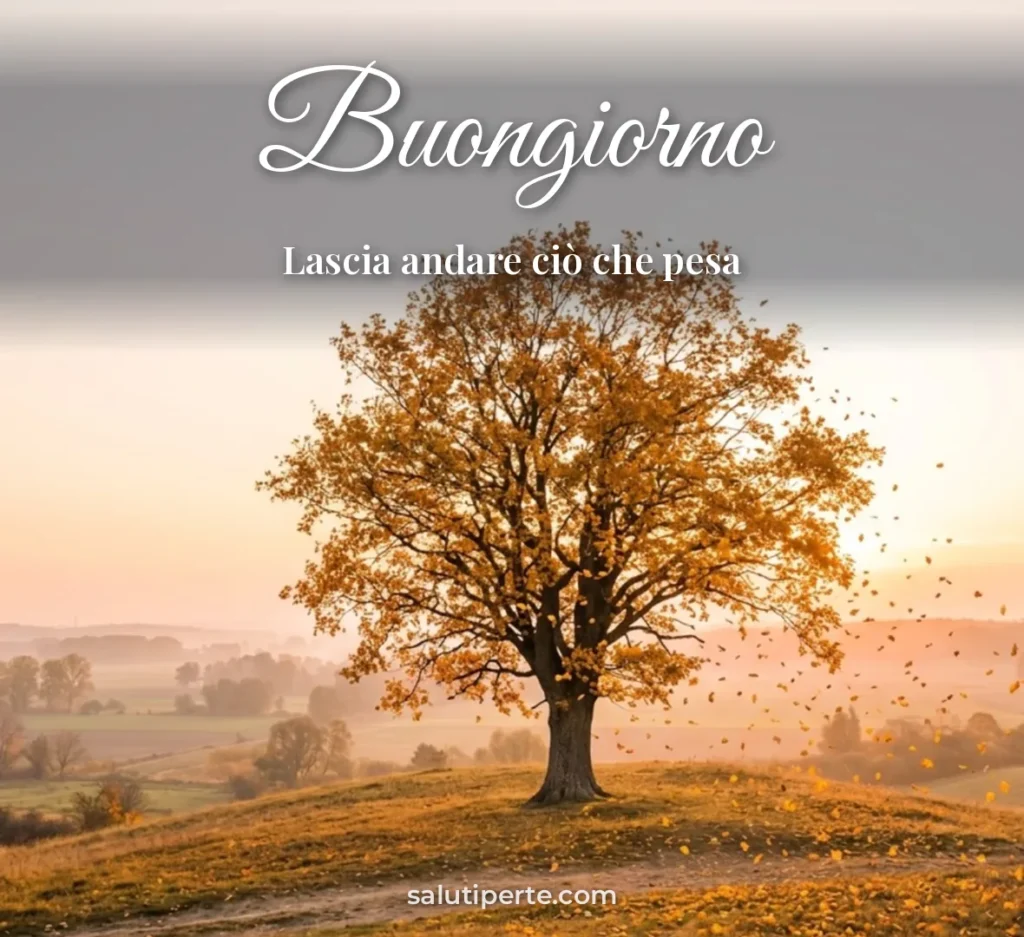 Albero con foglie che cadono