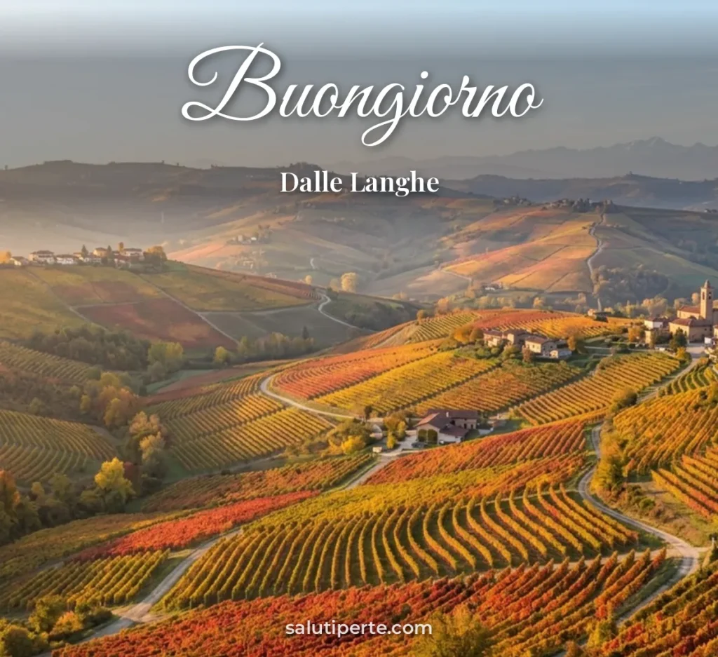 Vigne delle Langhe in autunno