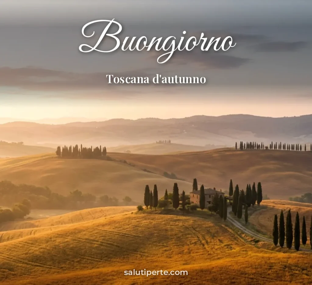 Colline toscane con cipressi