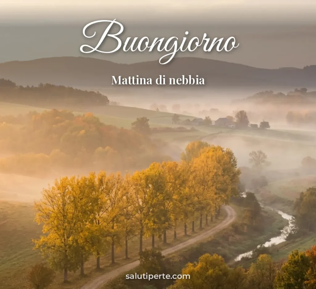Campagna avvolta nella nebbia