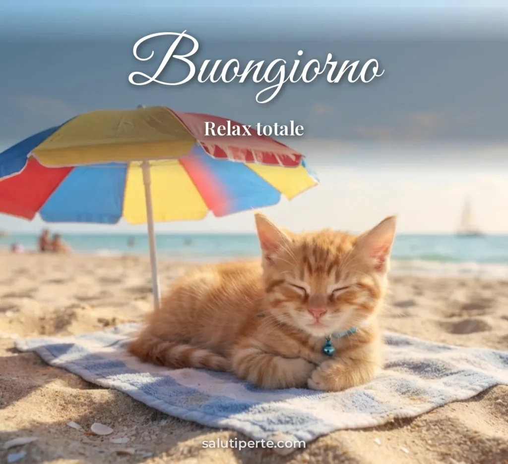 Gattino all'ombra di un ombrellone