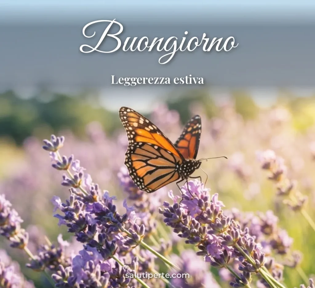 Farfalla su un fiore di lavanda