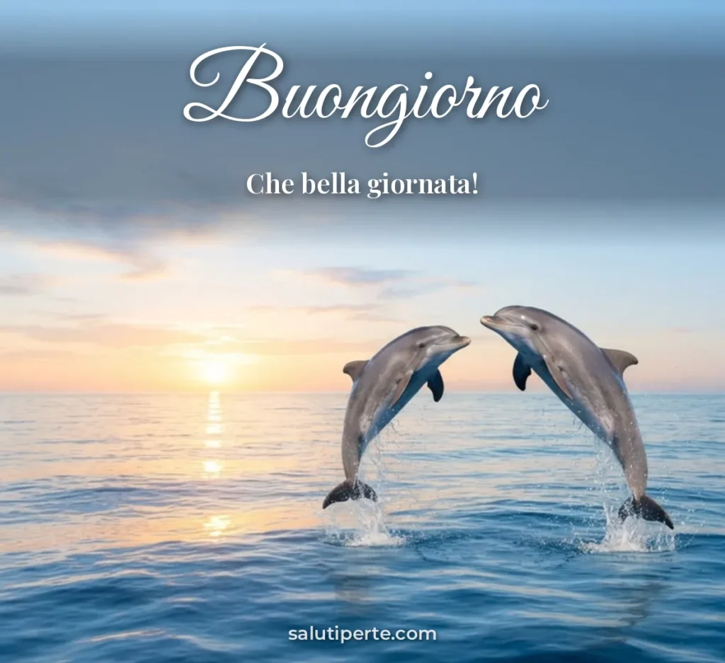 Delfini che saltano nel mare