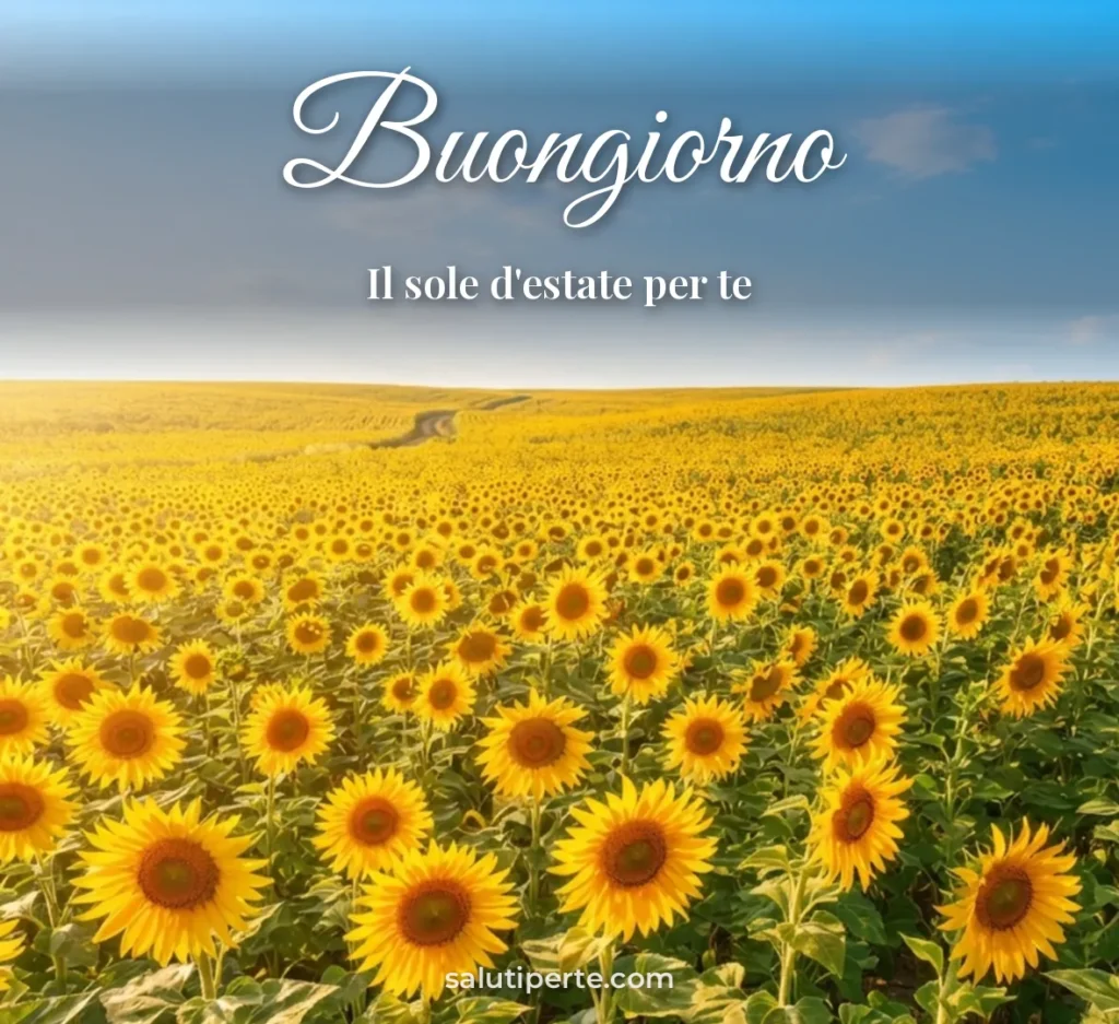 Campo di girasoli in estate