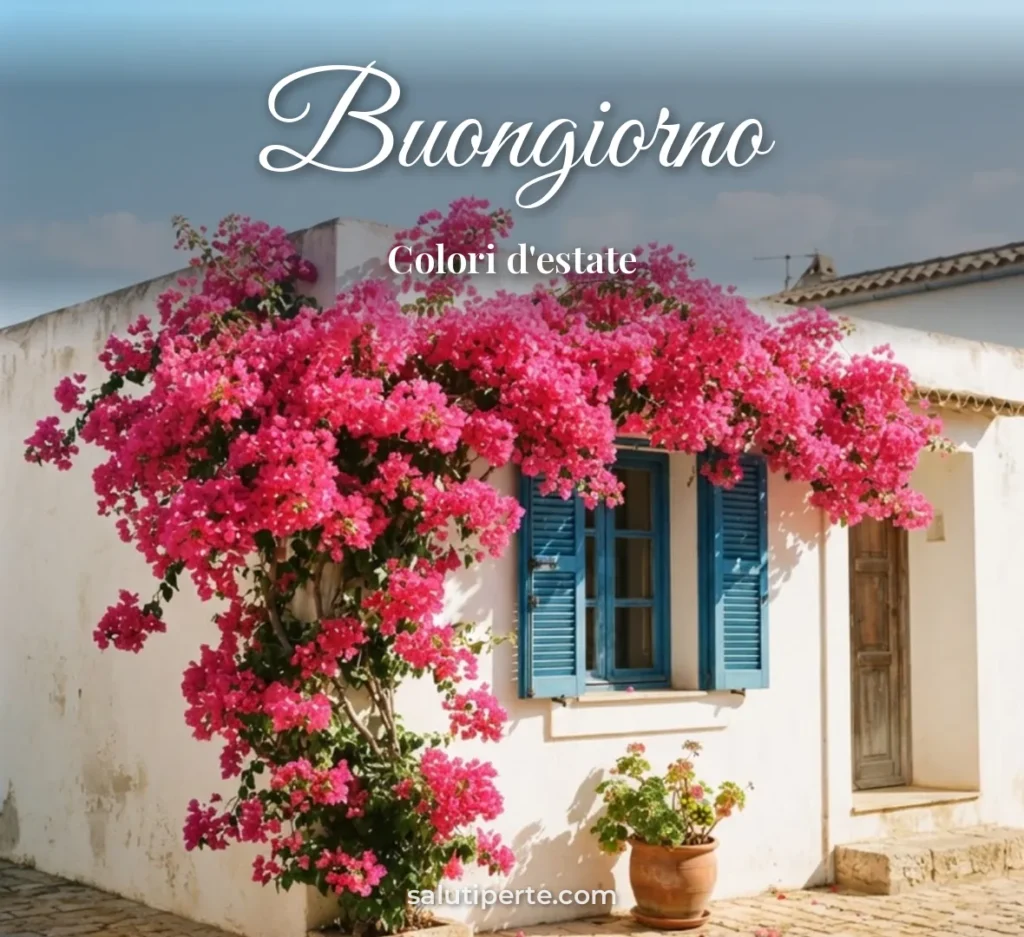 Bouganville sui muri bianchi