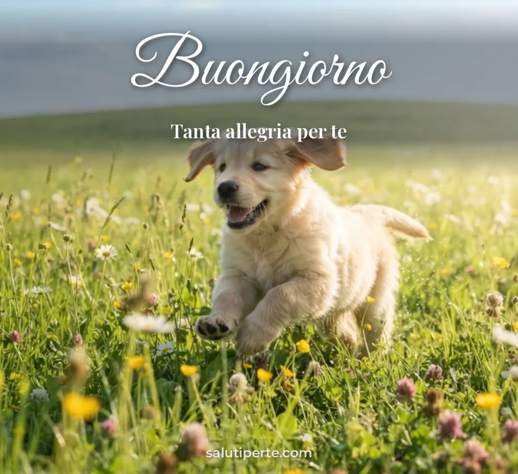 Cagnolino che corre in un prato
