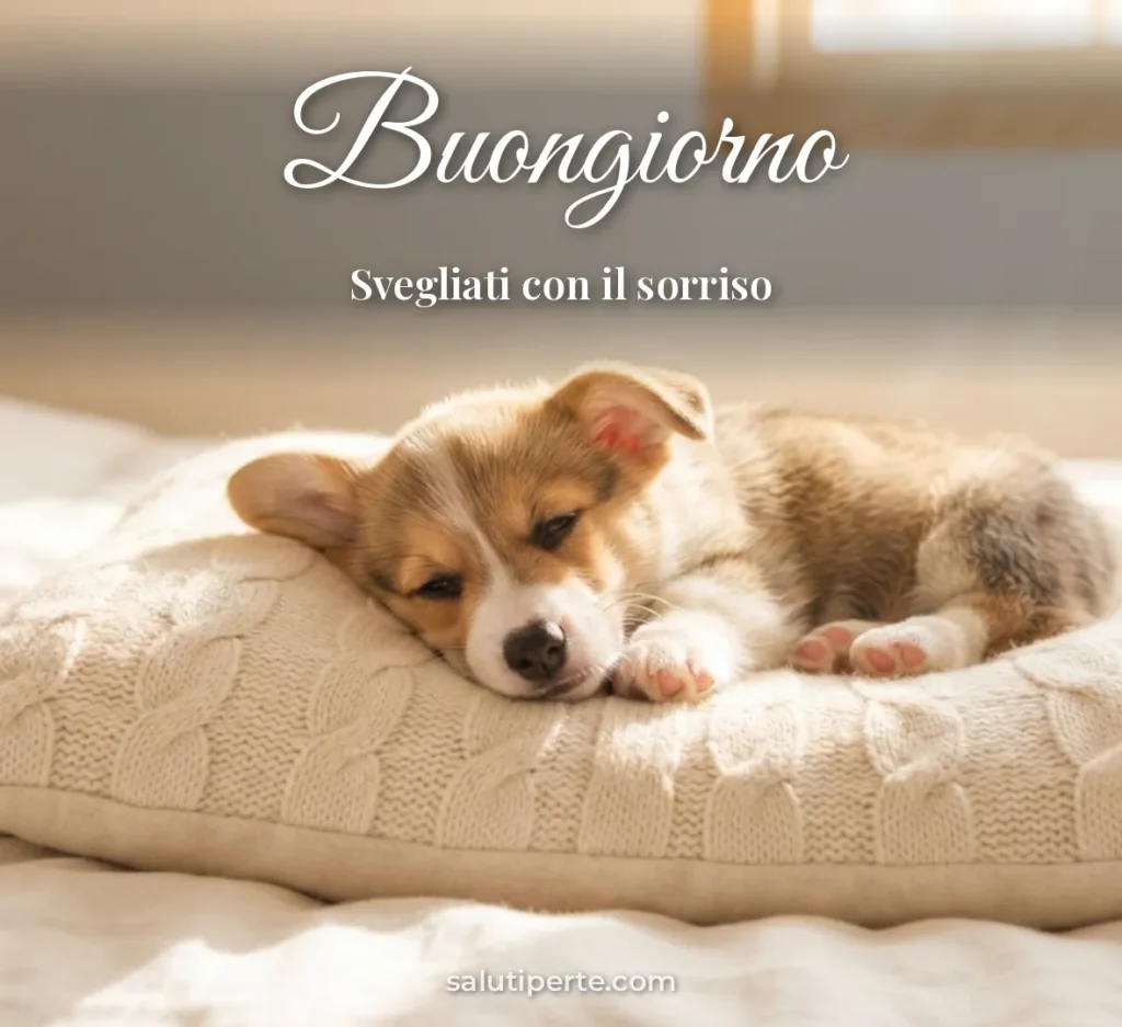 Cucciolo assonnato sul cuscino