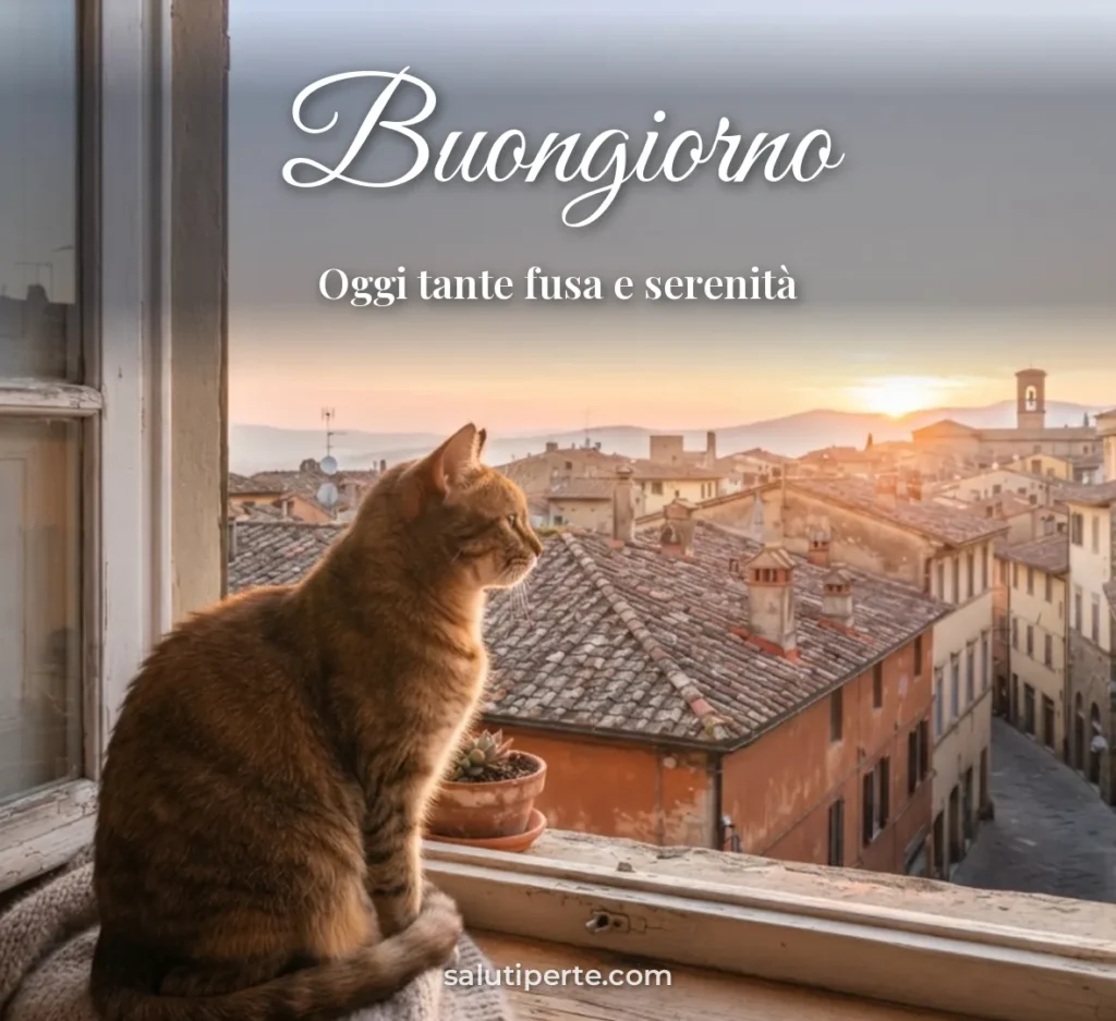 Gatto sul davanzale con vista sui tetti