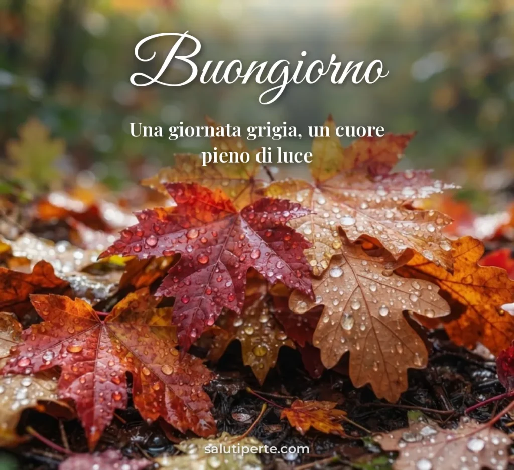 Foglie bagnate con gocce di pioggia