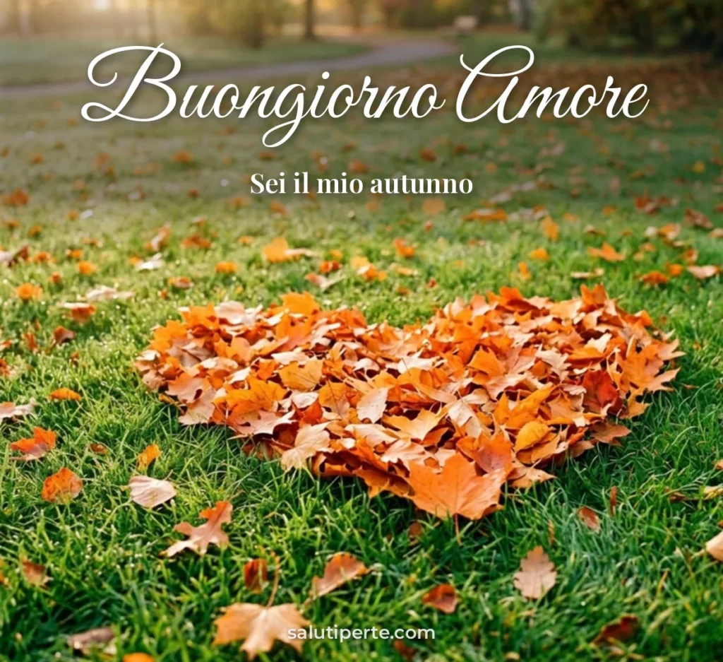 Cuore di foglie