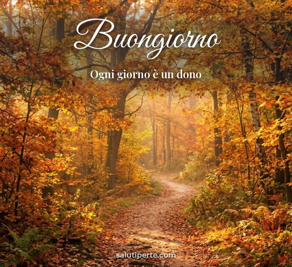 Sentiero nel sole