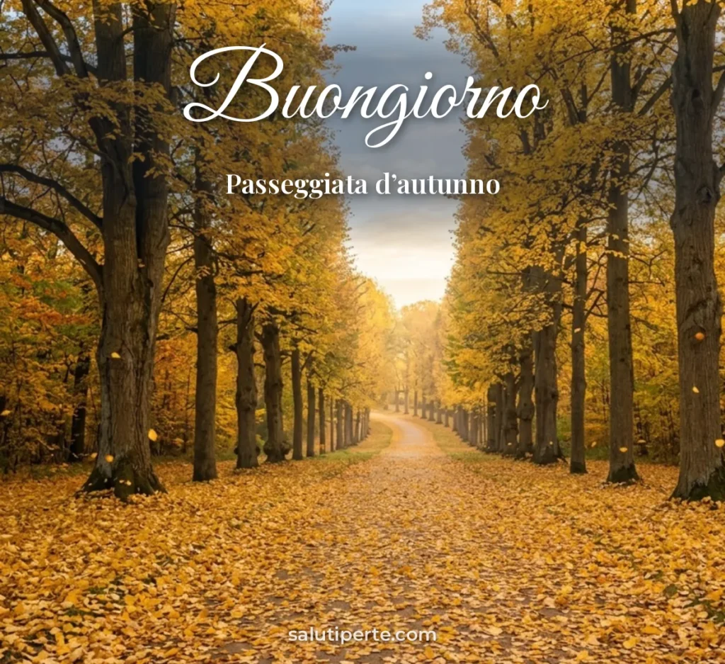 Viale coperto di foglie
