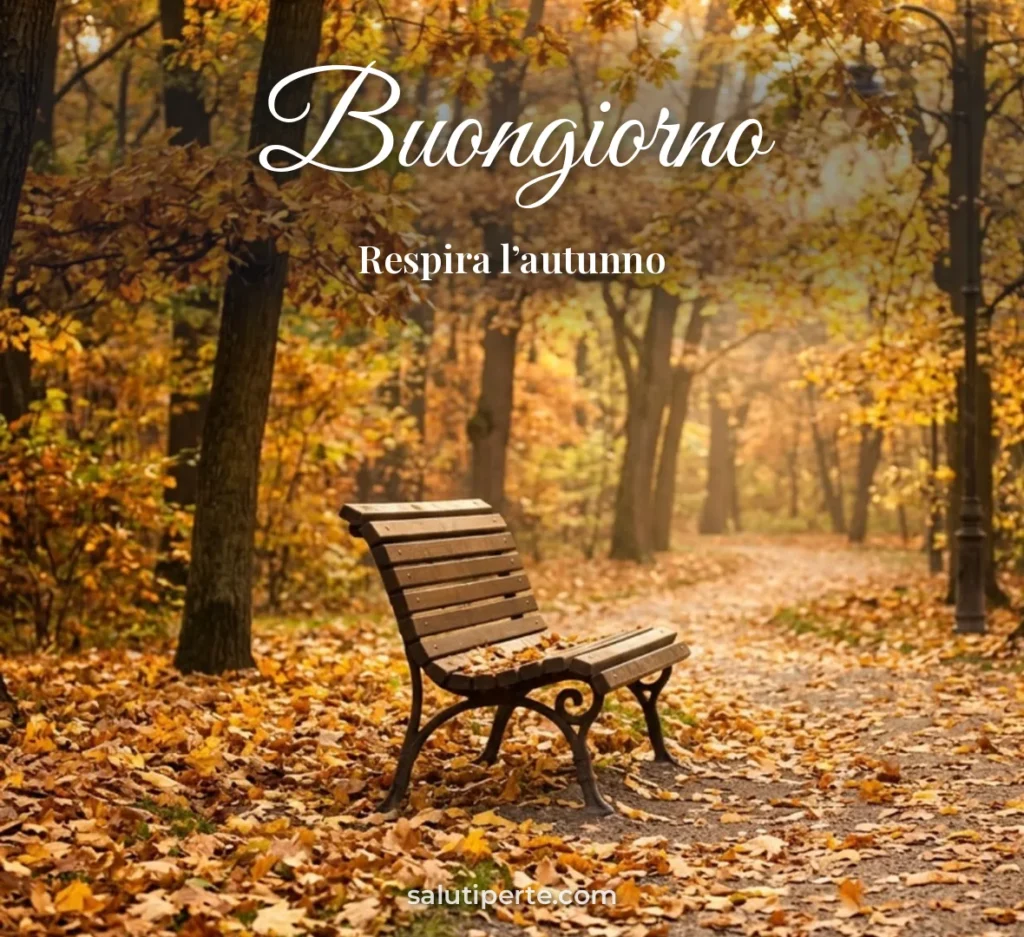 Panchina tra le foglie