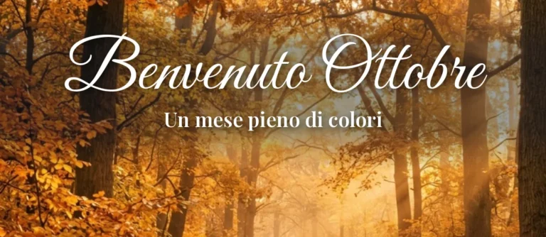 Bosco dorato al mattino