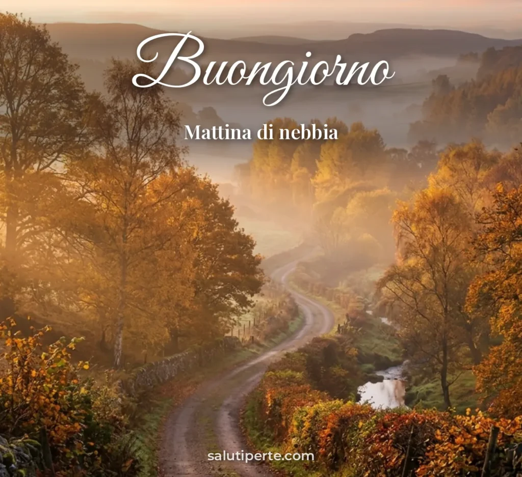 Campagna nella nebbia