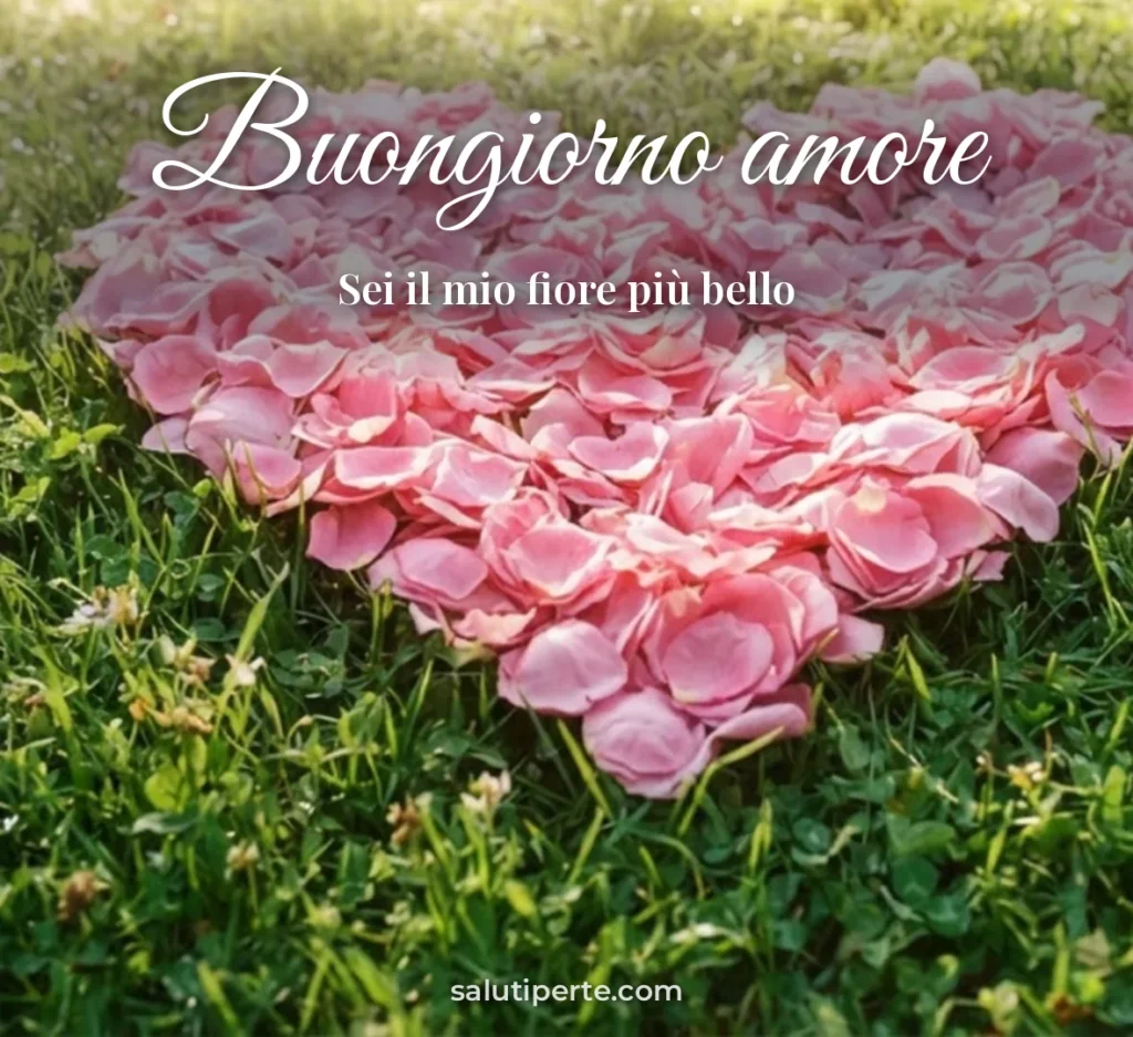 Cuore di petali rosa sul prato